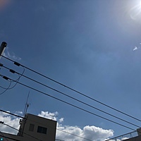 鍼灸予約 3月26日(火) 晴れ 最高気温19℃(京都の鍼灸院 泰楽)サムネイル