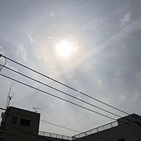 鍼灸予約 3月29日(金) 晴れのち曇り 最高気温18℃(京都の鍼灸院 泰楽)サムネイル