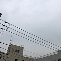 鍼灸予約 3月30日(土) 晴れのち雨 最高気温18℃(京都の鍼灸院 泰楽)サムネイル