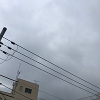鍼灸予約 4月1日(月) 曇りのち雨 最高気温12℃(京都の鍼灸院 泰楽)サムネイル