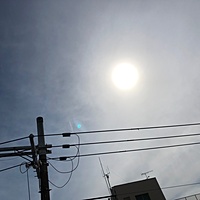 鍼灸予約 4月5日(金) 晴れのち曇り 最高気温20℃(京都の鍼灸院 泰楽)サムネイル