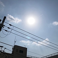 鍼灸予約 4月6日(土) 曇りのち晴れ 最高気温21℃(京都の鍼灸院 泰楽)サムネイル