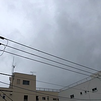 鍼灸予約 4月10日(水) 雨 最高気温11℃(京都の鍼灸院 泰楽)サムネイル