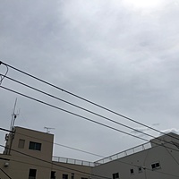 鍼灸予約 4月12日(金) 曇りのち晴れ 最高気温15℃(京都の鍼灸院 泰楽)サムネイル