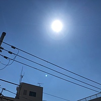 鍼灸予約 4月13日(土) 晴れのち曇り 最高気温19℃(京都の鍼灸院 泰楽)サムネイル