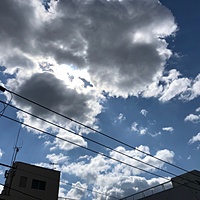 鍼灸予約 4月15日(月) 曇りのち晴れ 最高気温17℃(京都の鍼灸院 泰楽)サムネイル