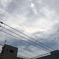 鍼灸予約 4月22日(月) 曇りのち晴れ 最高気温26℃(京都の鍼灸院 泰楽)サムネイル