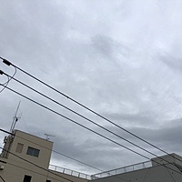 鍼灸予約 4月24日(水) 雨時々止む 最高気温23℃(京都の鍼灸院 泰楽)サムネイル