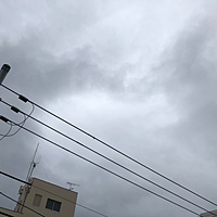 鍼灸予約 4月26日(金) 曇りのち雨 最高気温21℃(京都の鍼灸院 泰楽)サムネイル