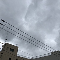 鍼灸予約 4月30日(火) 曇りのち雨 最高気温20℃(京都の鍼灸院 泰楽)サムネイル