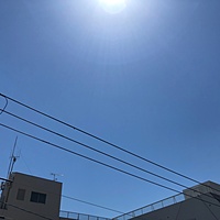 鍼灸予約 5月8日(水) 晴れ 最高気温24℃(京都の鍼灸院 泰楽)サムネイル