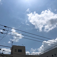 鍼灸予約 5月17日(金) 晴れのち曇り 最高気温28℃(京都の鍼灸院 泰楽)サムネイル