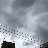 鍼灸予約 5月18日(土) 曇り 最高気温25℃(京都の鍼灸院 泰楽)サムネイル