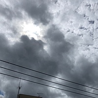 鍼灸予約 5月20日(月) 曇りのち雨 最高気温23℃(京都の鍼灸院 泰楽)サムネイル