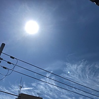 鍼灸予約 5月22日(水) 晴れ 最高気温29℃(京都の鍼灸院 泰楽)サムネイル