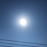 鍼灸予約 5月24日(水) 晴れ 最高気温32℃(京都の鍼灸院 泰楽)サムネイル