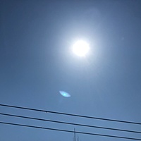 鍼灸予約 5月25日(土) 晴れ 最高気温34℃(京都の鍼灸院 泰楽)サムネイル