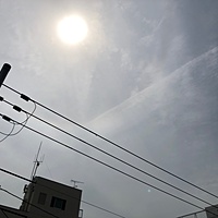 鍼灸予約 5月27日(月) 晴れ 最高気温32℃(京都の鍼灸院 泰楽)サムネイル