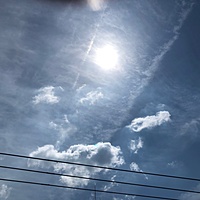 鍼灸予約 6月1日(金) 晴れのち曇り 最高気温28℃(京都の鍼灸院 泰楽)サムネイル