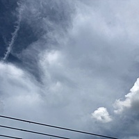 鍼灸予約 6月3日(月) 晴れ 最高気温29℃(京都の鍼灸院 泰楽)サムネイル