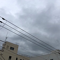 鍼灸予約 6月8日(土) 曇りのち雨 最高気温24℃(京都の鍼灸院 泰楽)サムネイル