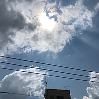 鍼灸予約 6月12日(水) 曇りのち晴れ 最高気温26℃(京都の鍼灸院 泰楽)サムネイル