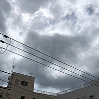 鍼灸予約 6月14日(金) 曇りのち一時雨 最高気温28℃(京都の鍼灸院 泰楽)サムネイル