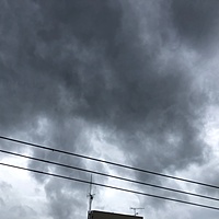 鍼灸予約 6月15日(土) 雨 最高気温26℃(京都の鍼灸院 泰楽)サムネイル