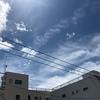 鍼灸予約 6月17日(月) 曇りのち晴れ 最高気温27℃(京都の鍼灸院 泰楽)サムネイル