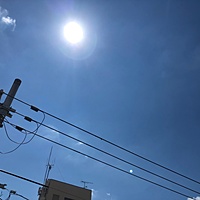 鍼灸予約 6月25日(火) 晴れ 最高気温32℃(京都の鍼灸院 泰楽)サムネイル