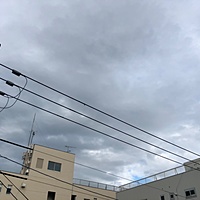 鍼灸予約 6月28日(金) 曇り 最高気温31℃(京都の鍼灸院 泰楽)サムネイル
