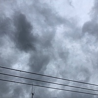 鍼灸予約 7月6日(土) 曇りのち雨 最高気温28℃(京都の鍼灸院 泰楽)サムネイル