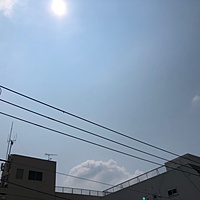 鍼灸予約 8月2日(金) 晴れのち曇り 最高気温38℃(京都の鍼灸院 泰楽)サムネイル