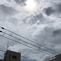 鍼灸予約 8月6日(火) 晴れのち曇り 最高気温35℃(京都の鍼灸院 泰楽)サムネイル