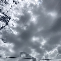 鍼灸予約 8月13日(火) 曇りのち晴れ 最高気温37℃(京都の鍼灸院 泰楽)サムネイル