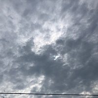 鍼灸予約 8月19日(月) 曇りのち雨 最高気温33℃(京都の鍼灸院 泰楽)サムネイル