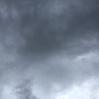 鍼灸予約 8月30日(金) 雨のち曇り 最高気温29℃(京都の鍼灸院 泰楽)サムネイル