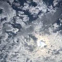 鍼灸予約 8月31日(土) 曇り 最高気温31℃(京都の鍼灸院 泰楽)サムネイル