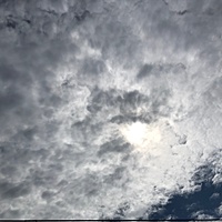 鍼灸予約 9月2日(月) 曇りのち晴れ 最高気温33℃(京都の鍼灸院 泰楽)サムネイル