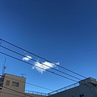 鍼灸予約 9月6日(金) 晴れ 最高気温35℃(京都の鍼灸院 泰楽)サムネイル