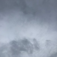 鍼灸予約 9月21日(土) 曇りのち雨 最高気温22℃(京都の鍼灸院 泰楽)サムネイル