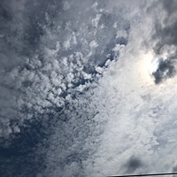 鍼灸予約 9月27日(金) 曇りのち一時雨 最高気温28℃(京都の鍼灸院 泰楽)サムネイル