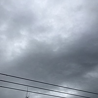 鍼灸予約 10月19日(土) 曇りのち雨 最高気温25℃(京都の鍼灸院 泰楽)サムネイル