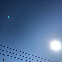鍼灸予約 11月6日(水) 晴れ 最高気温20℃(京都の鍼灸院 泰楽)サムネイル