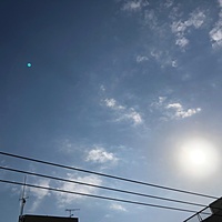 鍼灸予約 11月16日(土) 晴れのち曇り 最高気温19℃(京都の鍼灸院 泰楽)サムネイル