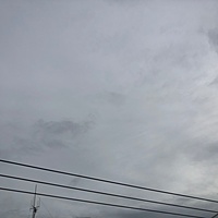 鍼灸予約 11月22日(金) 曇りのち雨 最高気温15℃(京都の鍼灸院 泰楽)サムネイル