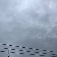 鍼灸予約 11月25日(月) 曇りのち雨 最高気温17℃(京都の鍼灸院 泰楽)サムネイル