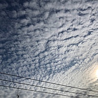 鍼灸予約 11月26日(火) 曇りのち晴れ 最高気温15℃(京都の鍼灸院 泰楽)サムネイル