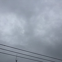 鍼灸予約 11月27日(水) 曇り 最高気温15℃(京都の鍼灸院 泰楽)サムネイル